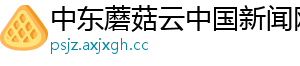 中东蘑菇云中国新闻网